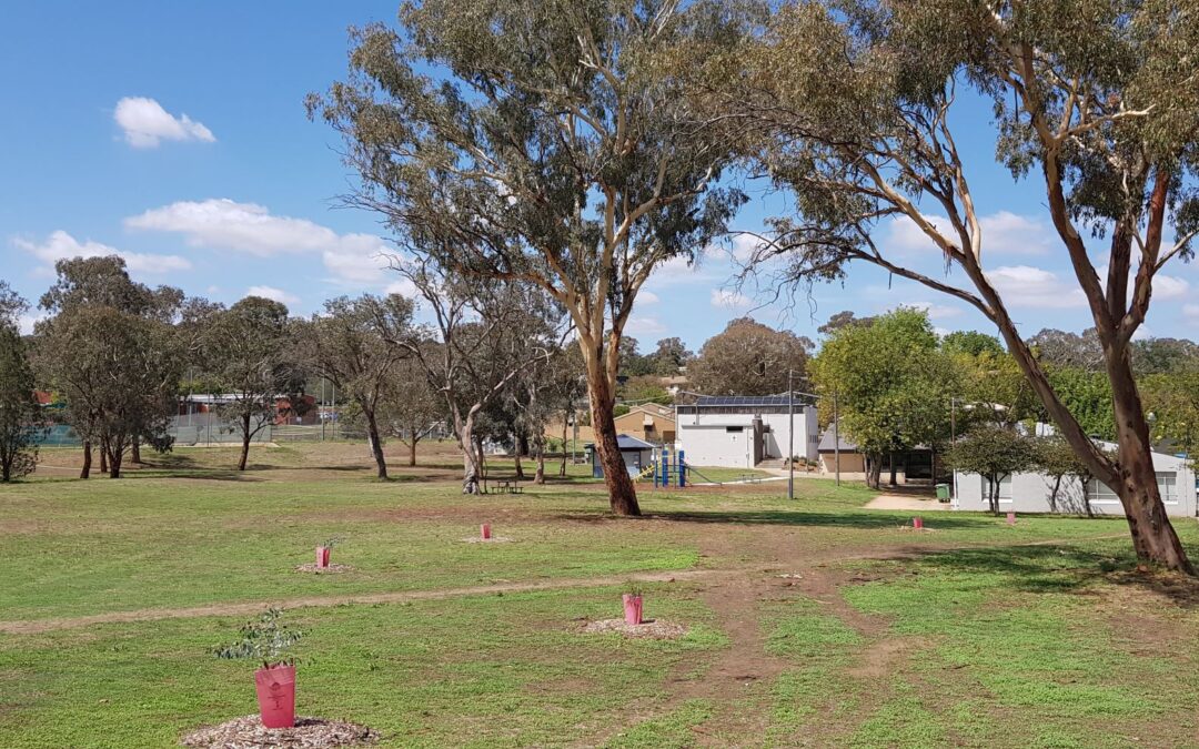 image of park behind Campbell Shops.
