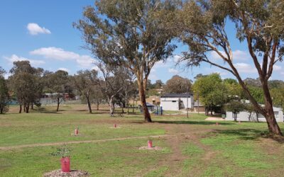 Community Information Session